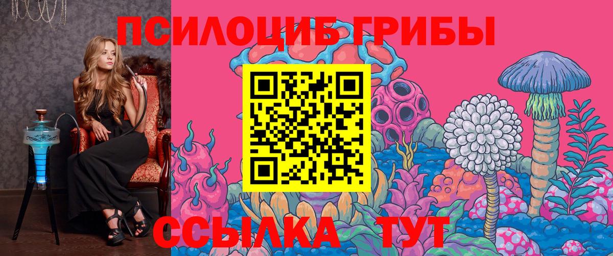 Псилоцибиновые грибы GOLDEN TEACHER Черняховск