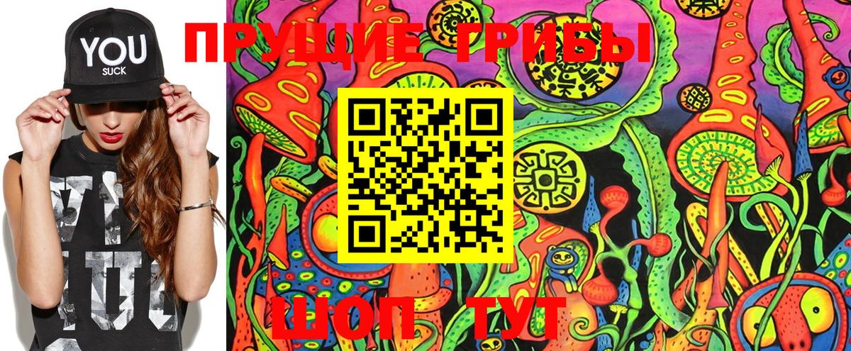 Черняховск  Галлюциногенные грибы Magic Shrooms  Вход с VPN  Галлюциногенные грибы ЛСД 
